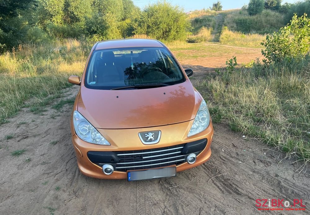 2006' Peugeot 307 photo #5