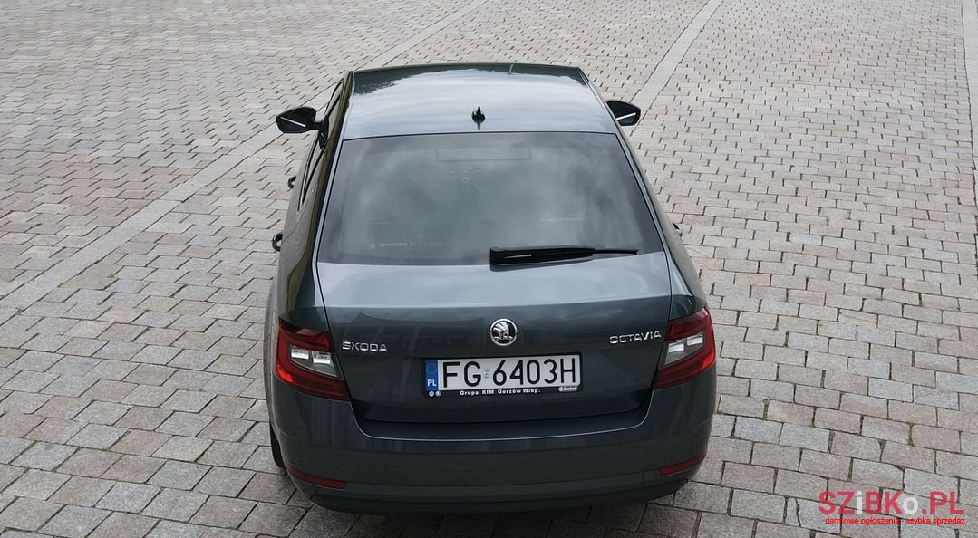 2017' Skoda Octavia photo #6