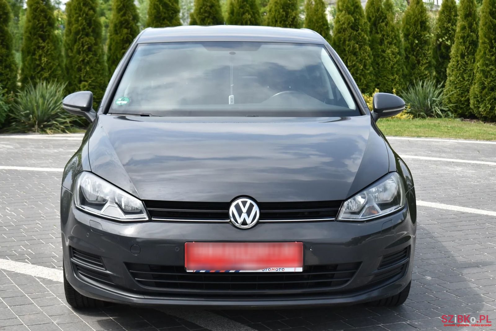 2013' Volkswagen Golf photo #1