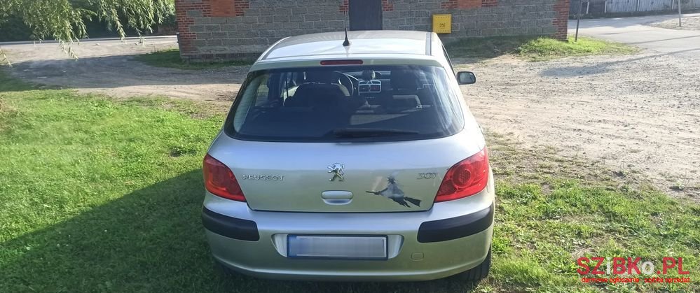 2005' Peugeot 307 photo #5