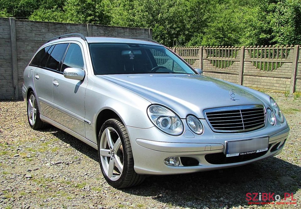 2003' Mercedes-Benz E-Class photo #5