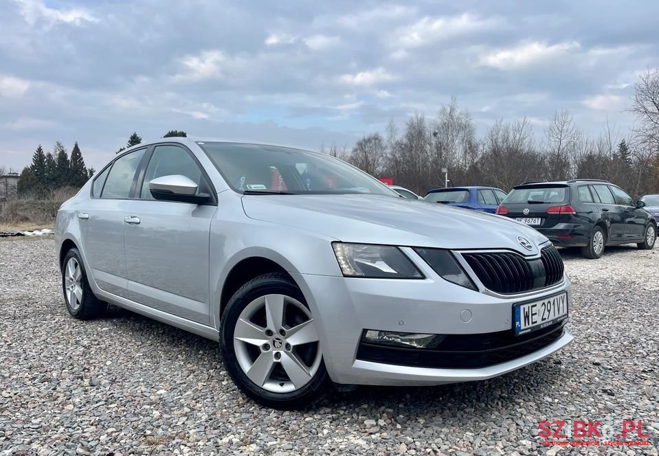 2019' Skoda Octavia photo #1