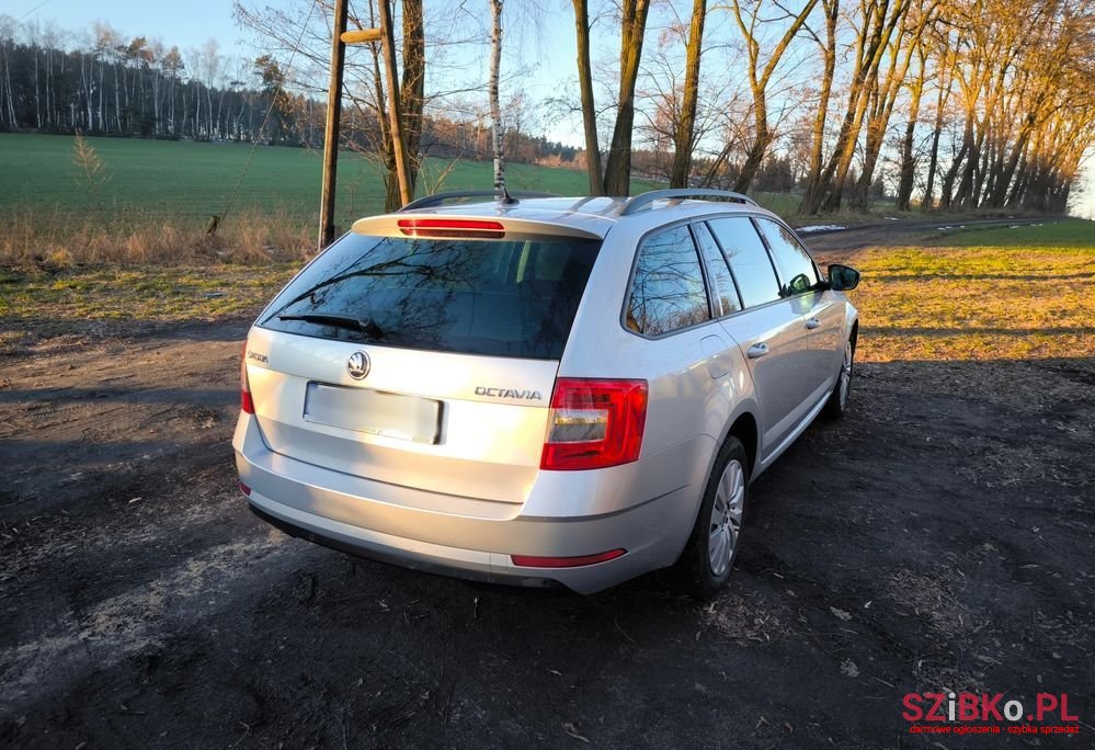2017' Skoda Octavia photo #2