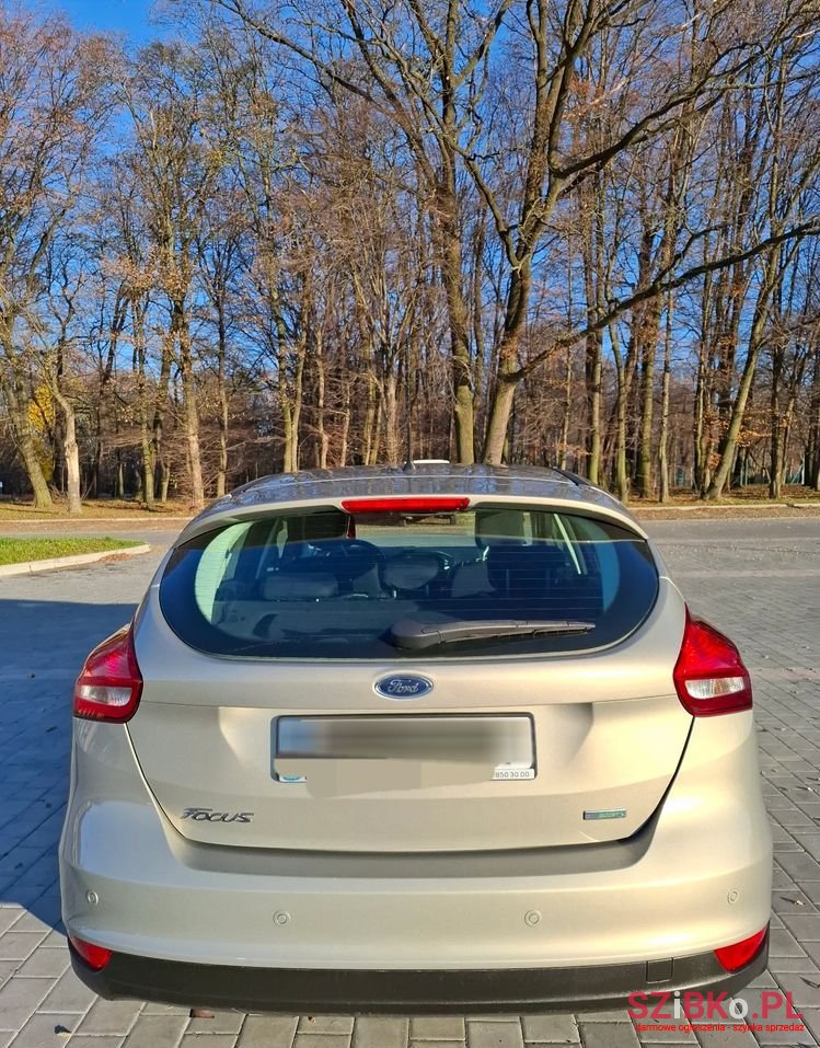 2014' Ford Focus photo #4