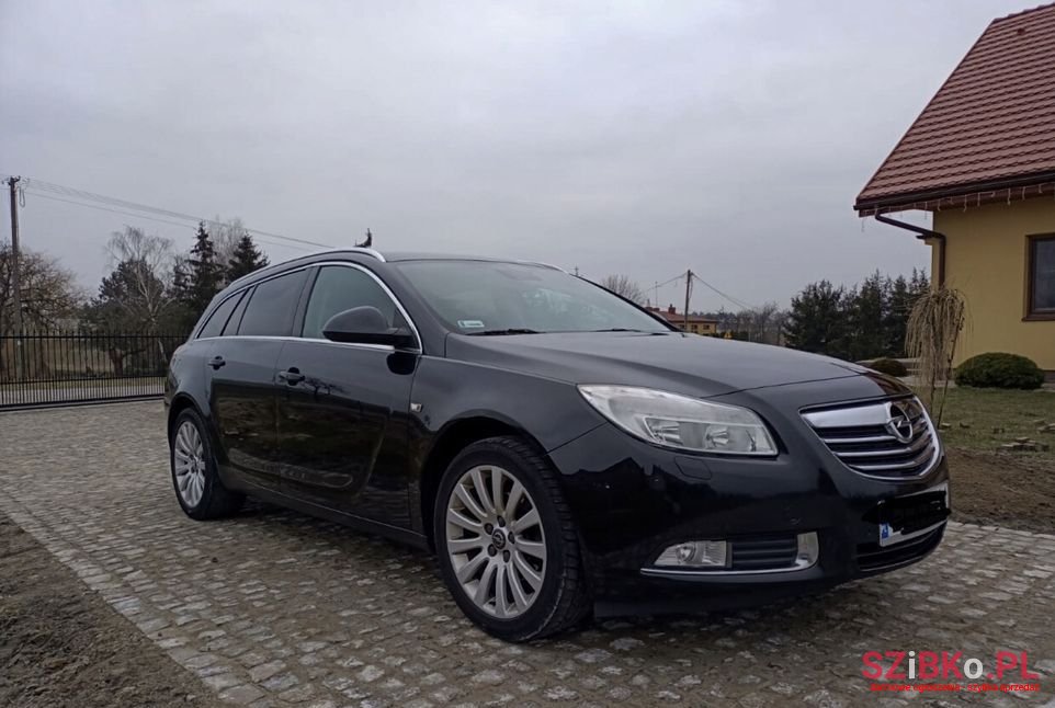 2010' Opel Insignia photo #5