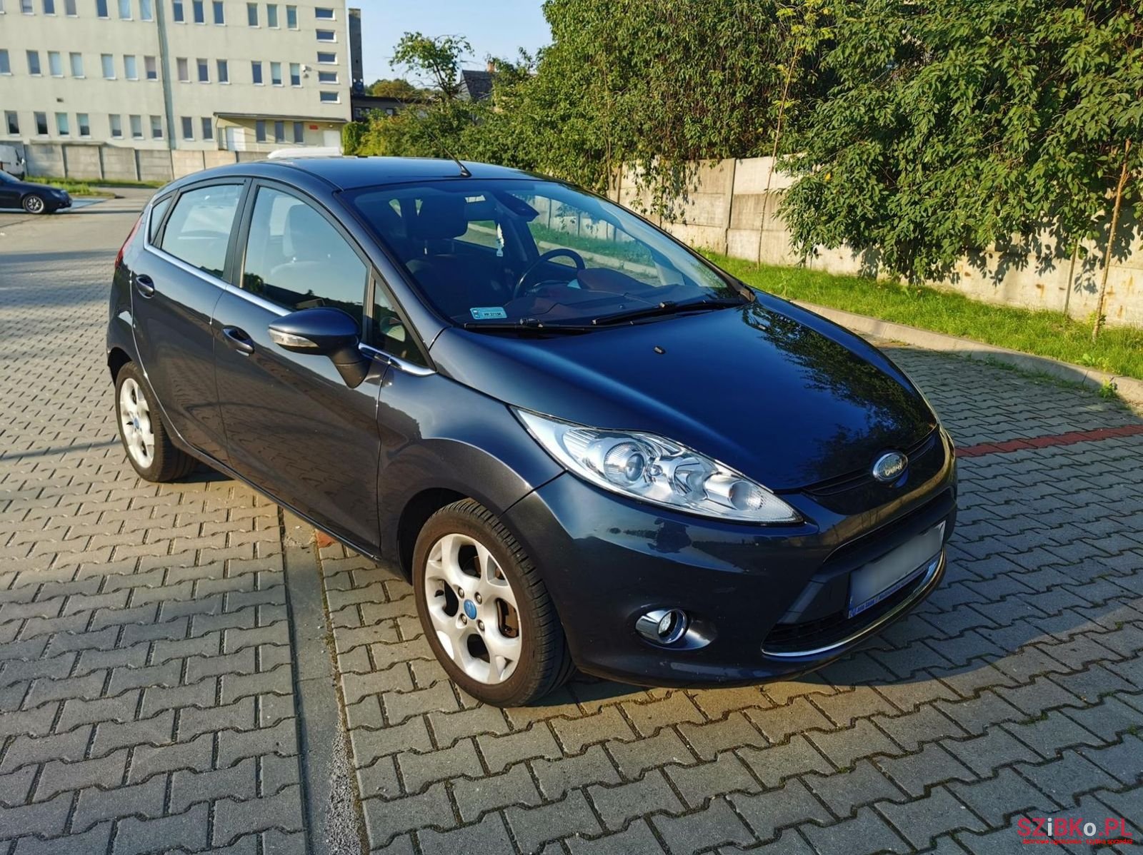 2010' Ford Fiesta photo #2