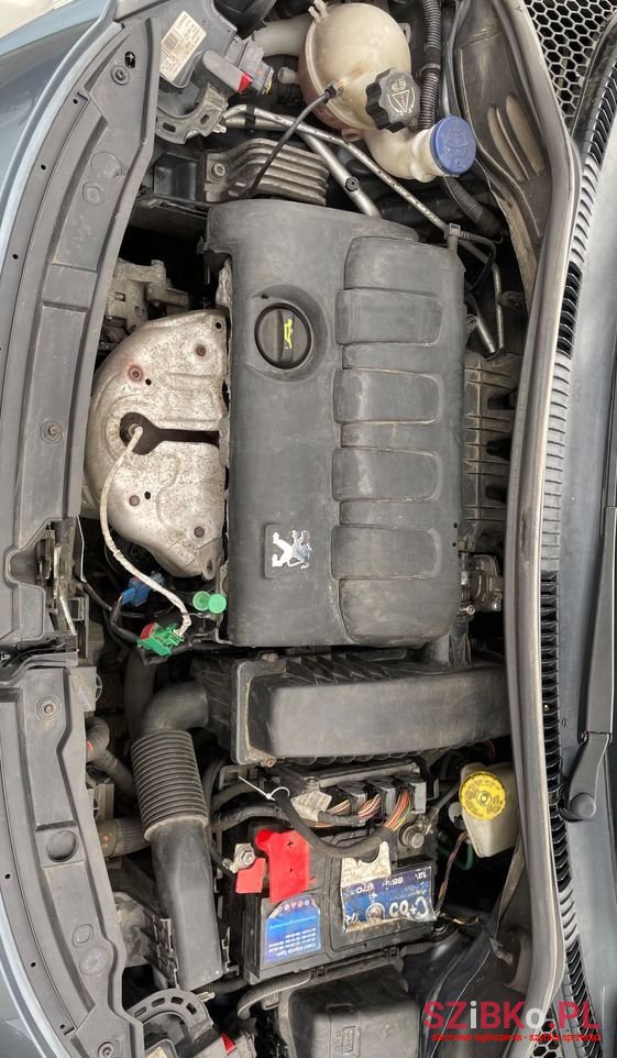 2007' Peugeot 207 1.4 16V Trendy photo #6