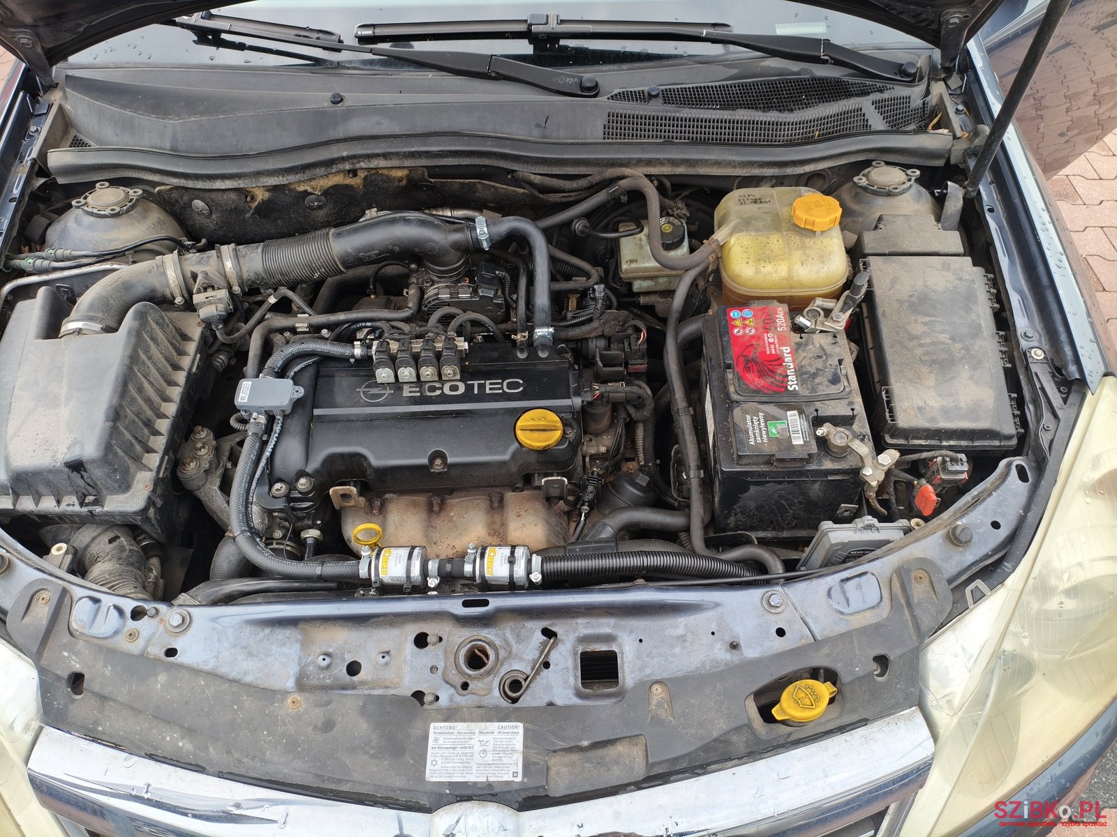 2009' Opel Astra photo #5