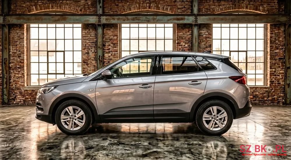 2018' Opel Grandland X photo #3