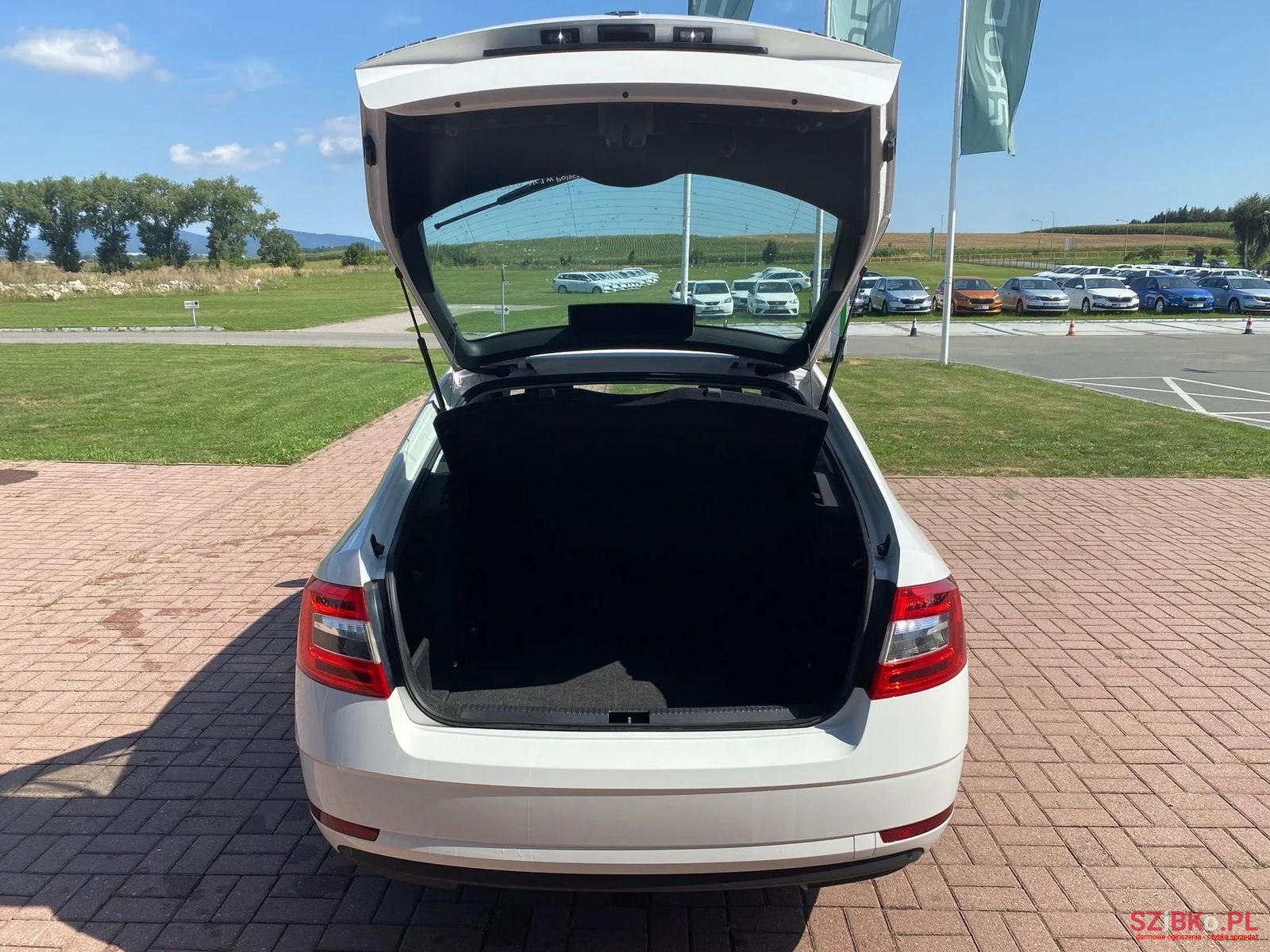 2019' Skoda Octavia photo #6