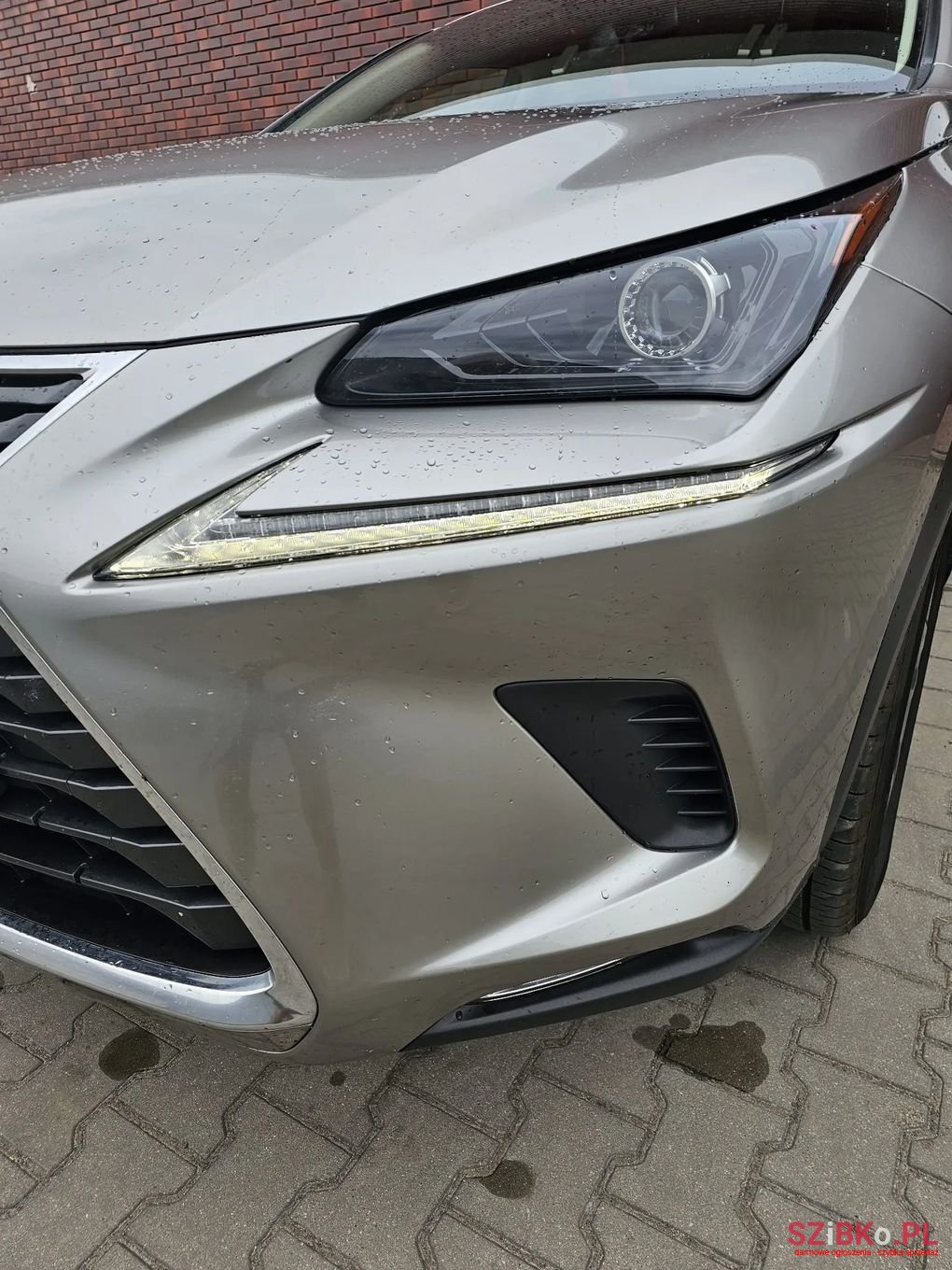 2021' Lexus NX photo #2