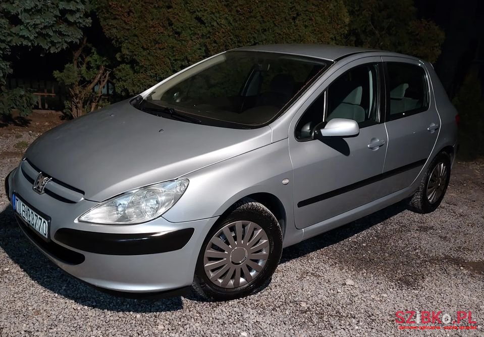 2003' Peugeot 307 photo #2