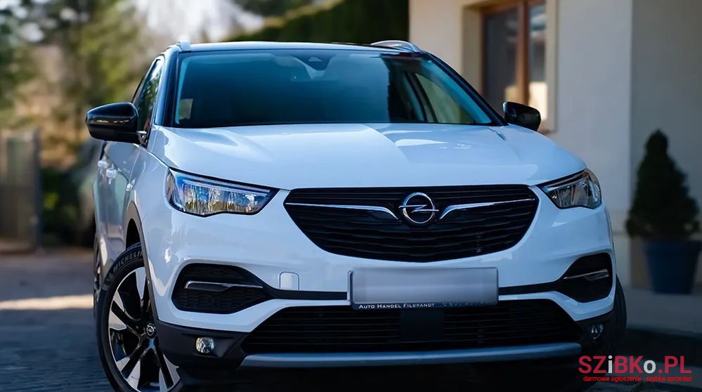 2019' Opel Grandland X photo #1