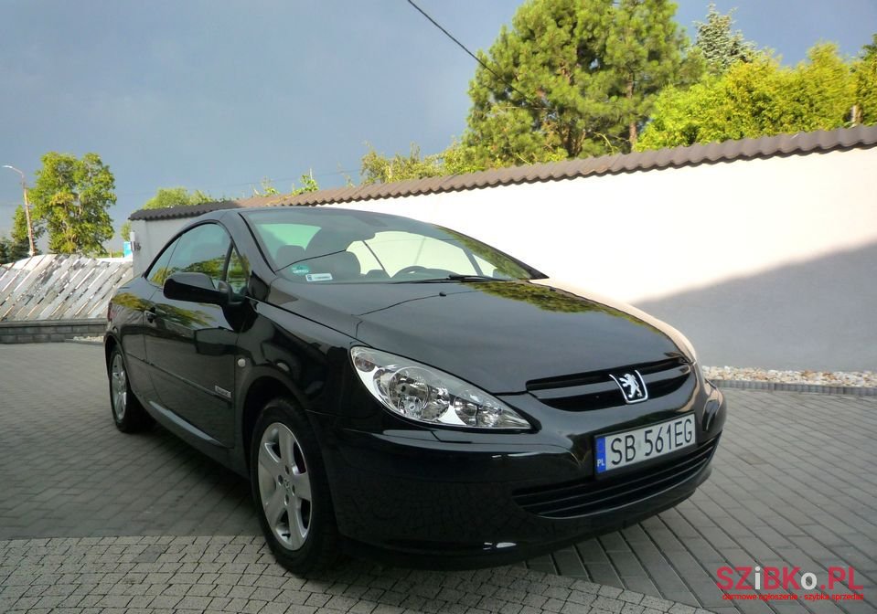 2004' Peugeot 307 photo #6
