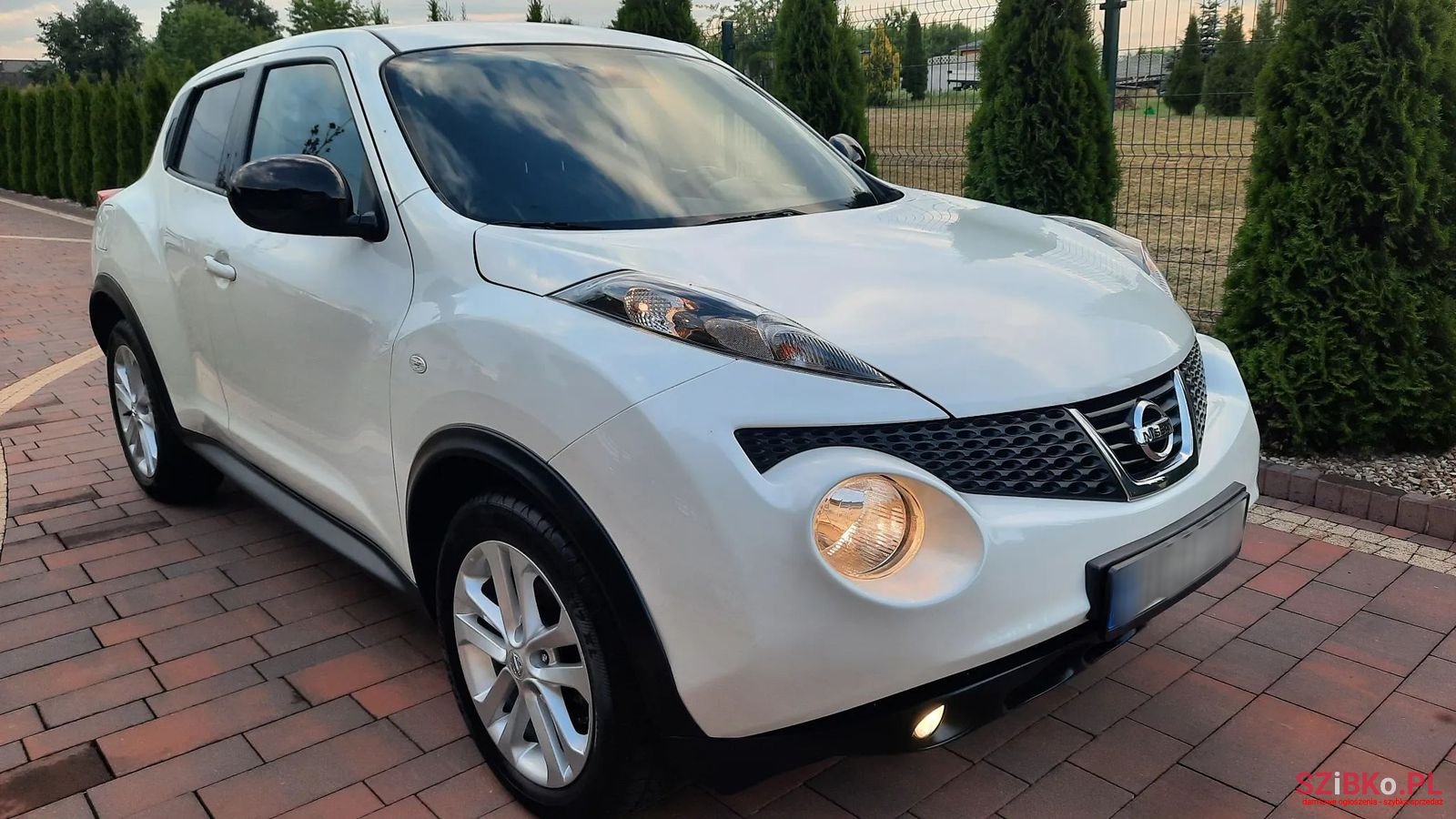 2013' Nissan Juke photo #2