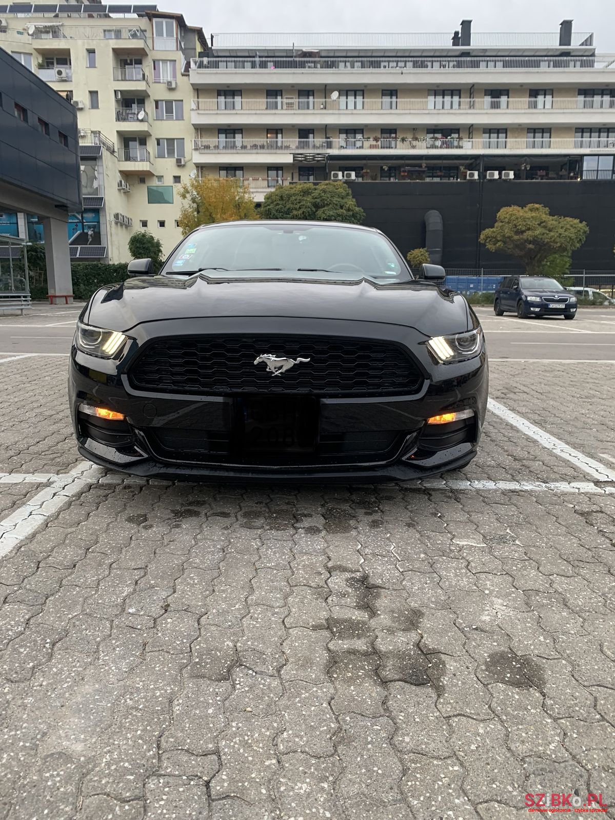 2015' Ford Mustang 3.7 photo #1