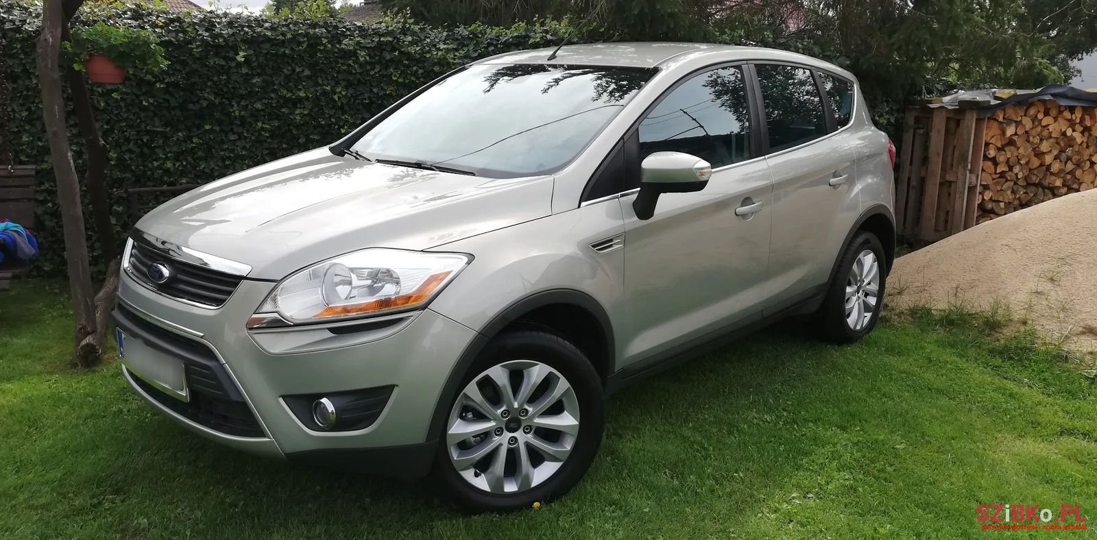 2009' Ford Kuga photo #2