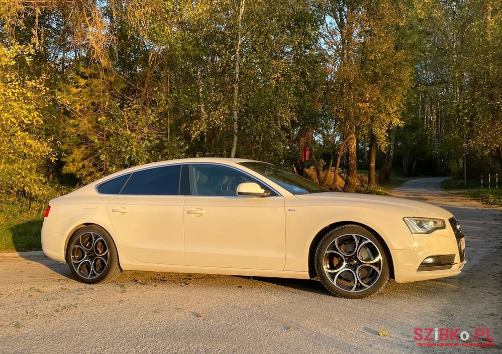 2014' Audi A5 photo #2