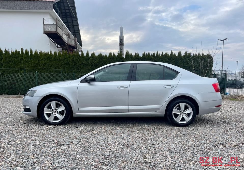 2019' Skoda Octavia photo #5