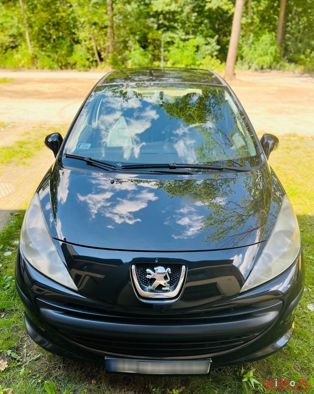 2008' Peugeot 207 photo #1