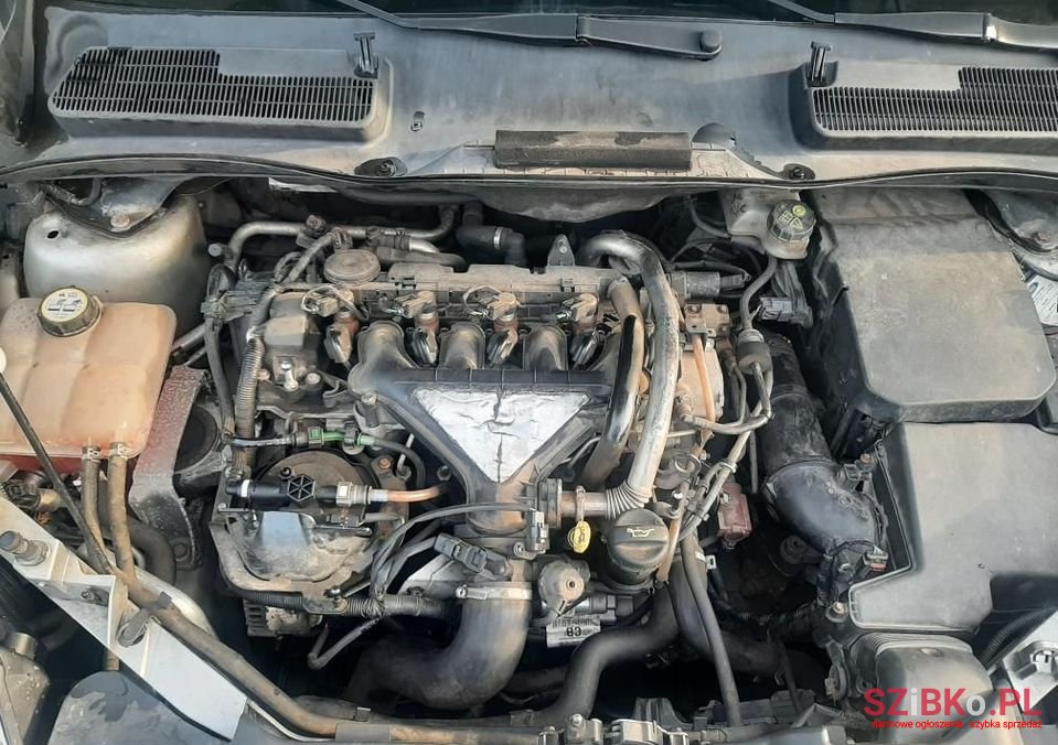 2008' Ford Kuga photo #6