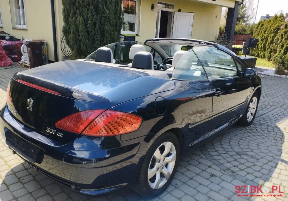 2007' Peugeot 307 photo #2