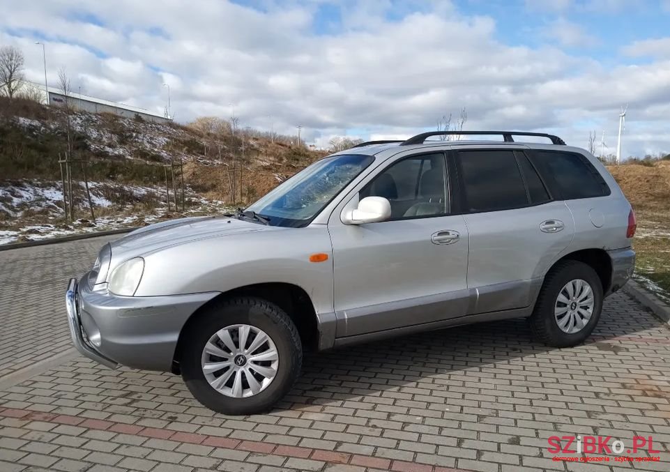 2004' Hyundai Santa Fe photo #4