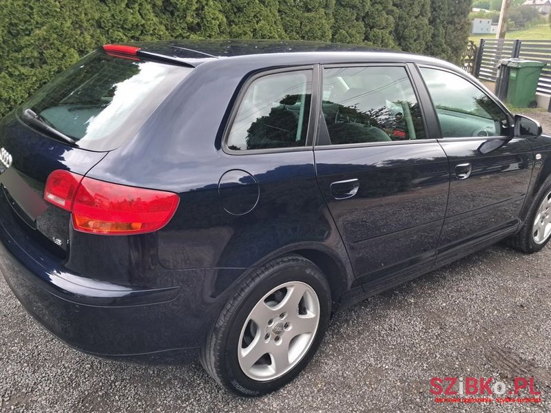 2007' Audi A3 1.6 Sportback photo #4