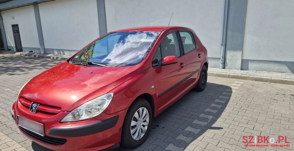 2003' Peugeot 307 1.6 photo #4