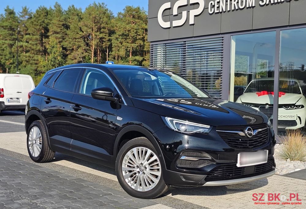 2019' Opel Grandland X photo #2