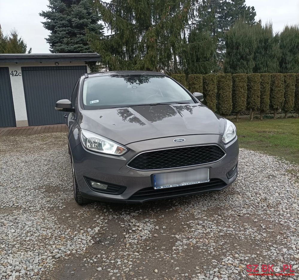 2015' Ford Focus photo #4