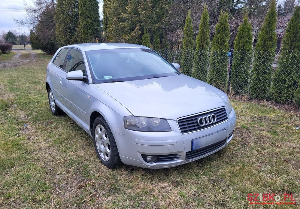 2003' Audi A3 1.6 Attraction photo #2