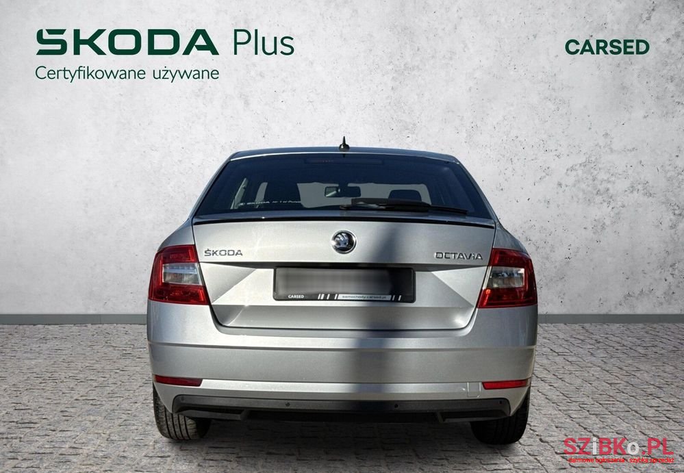 2019' Skoda Octavia photo #4