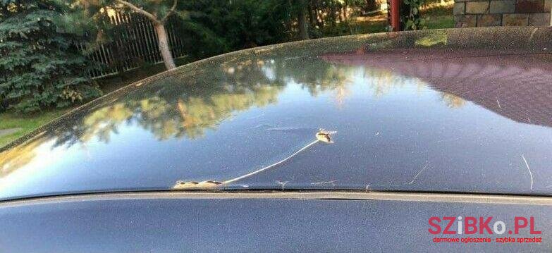 2004' Lancia Ypsilon photo #1