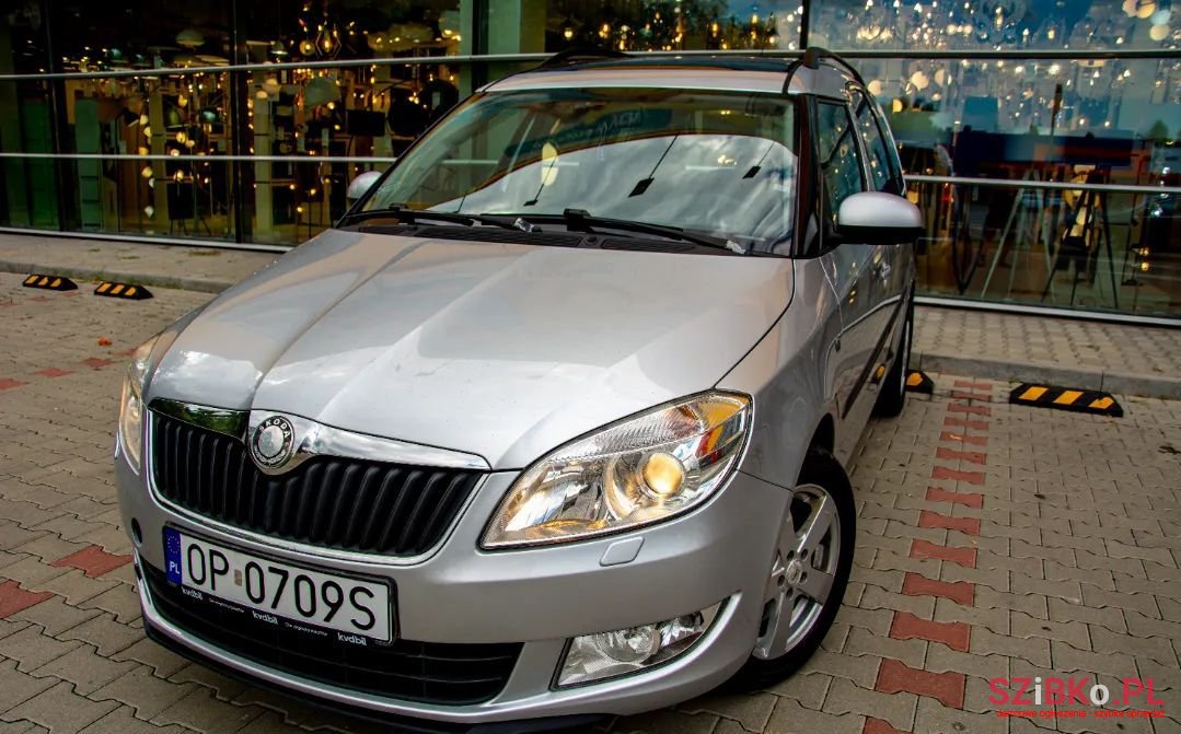 2010' Skoda Roomster photo #5