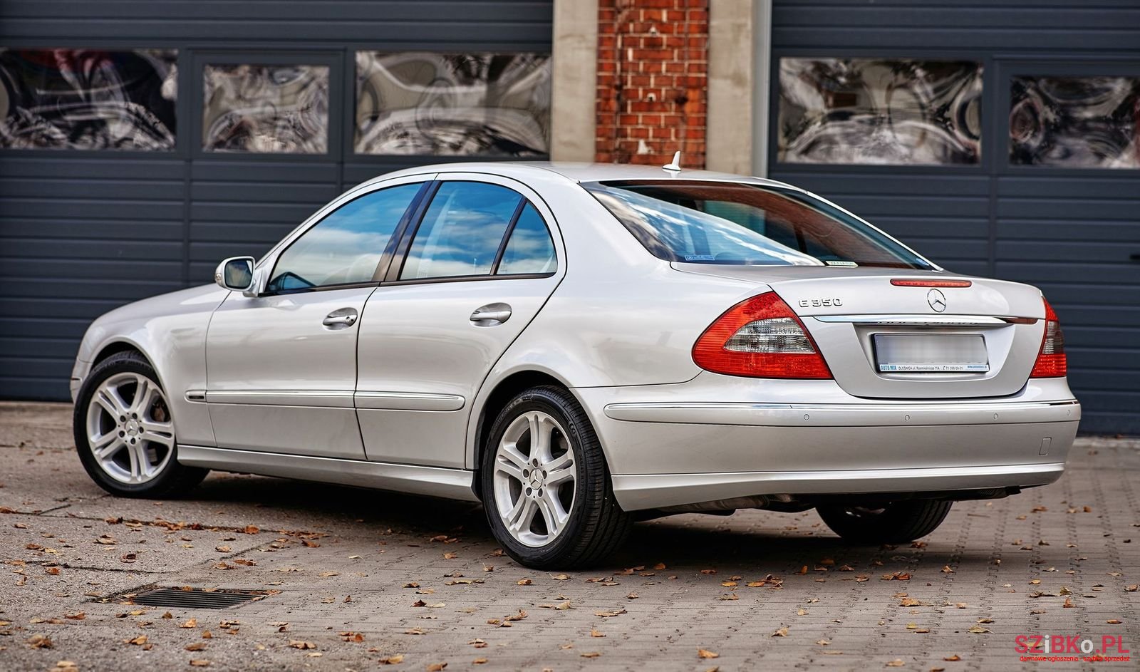2007' Mercedes-Benz E-Class photo #4