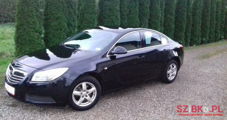 2010' Opel Insignia photo #1