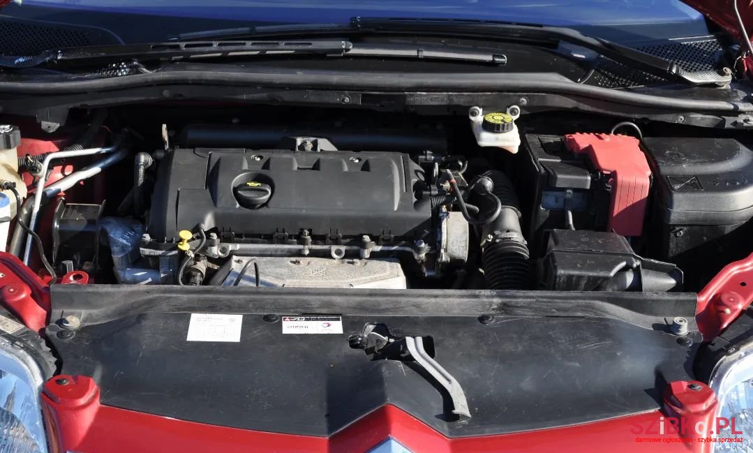 2008' Citroen C4 photo #5