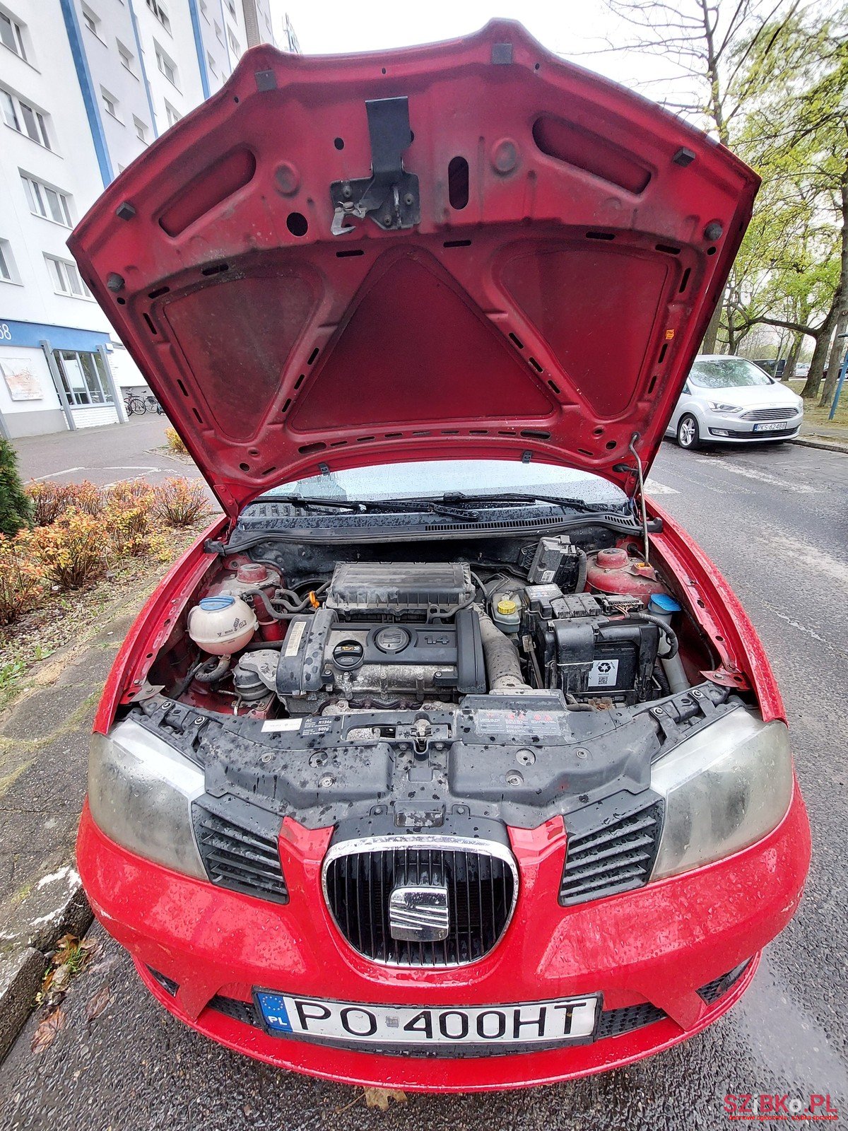 2008' SEAT Ibiza Sport Cool Rider II photo #6