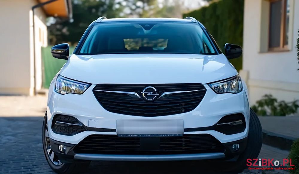 2019' Opel Grandland X photo #2