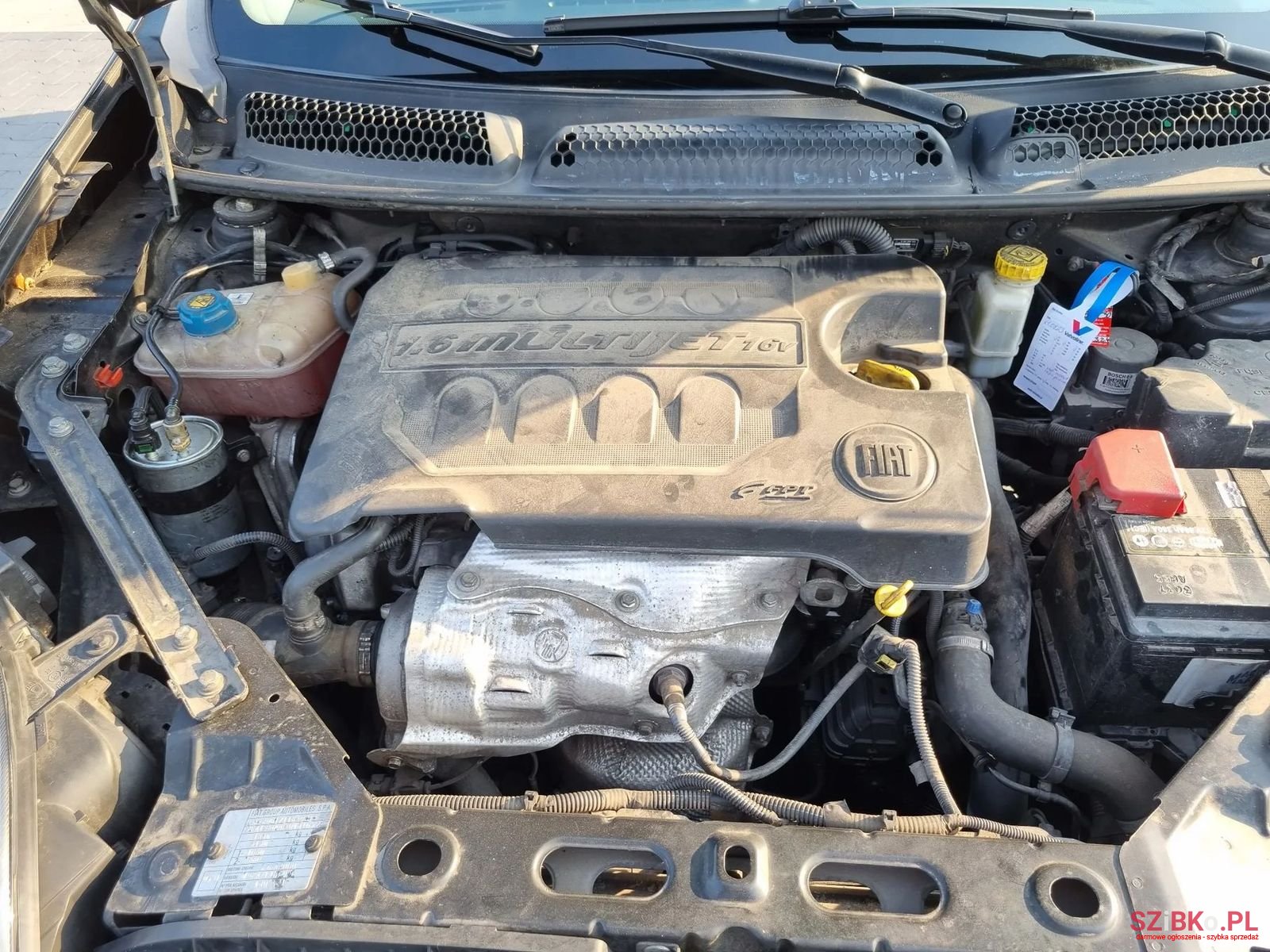 2010' Fiat Bravo photo #4