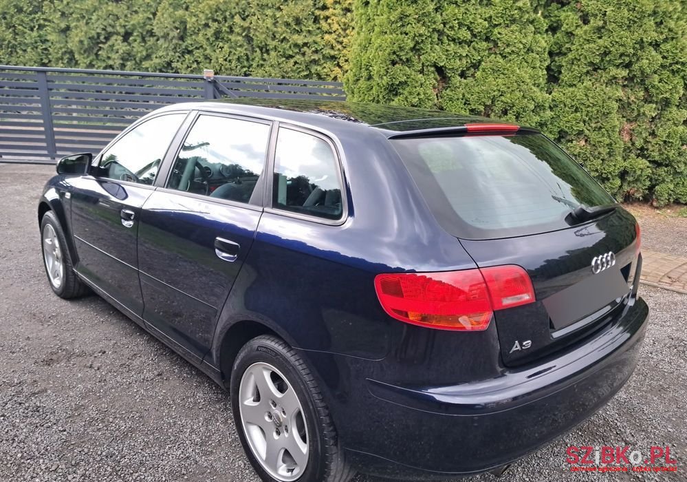 2007' Audi A3 1.6 Sportback photo #3