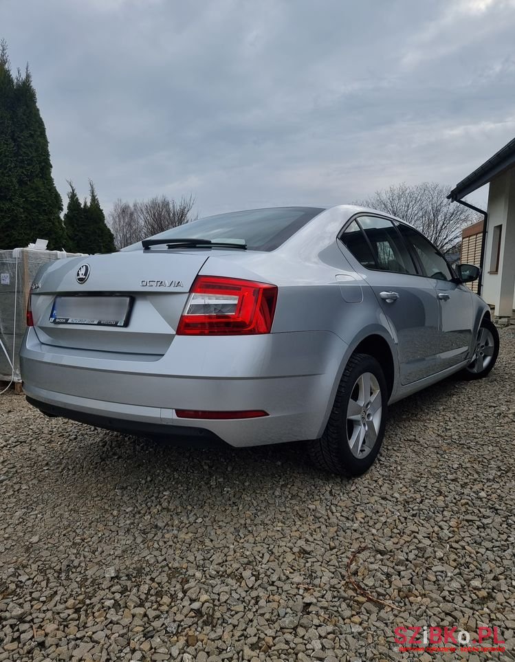 2019' Skoda Octavia photo #6
