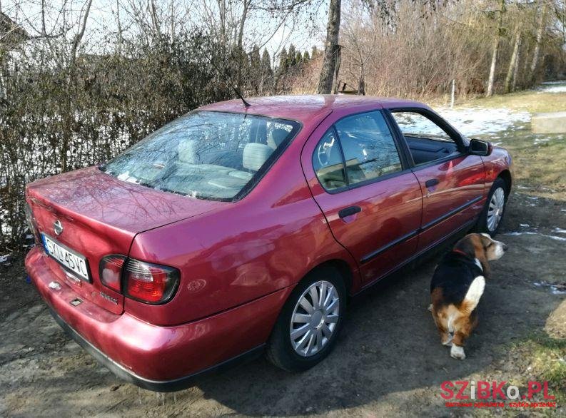 2001' Nissan Primera photo #1