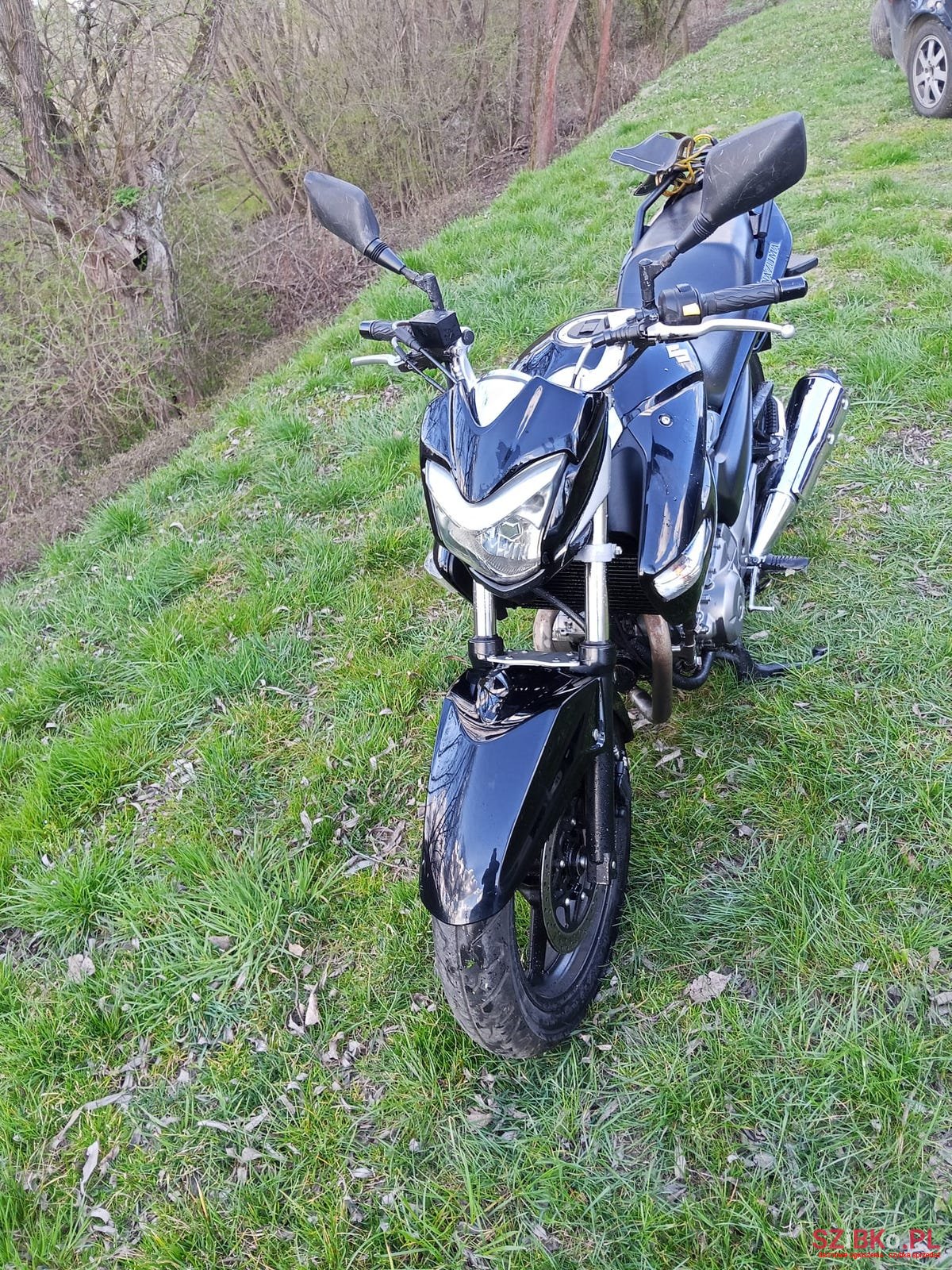 2013' Suzuki photo #1