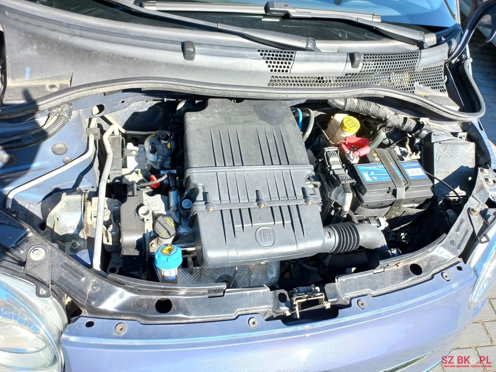 2014' Fiat 500 photo #4