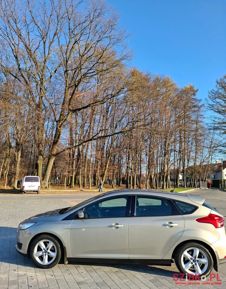 2014' Ford Focus photo #5