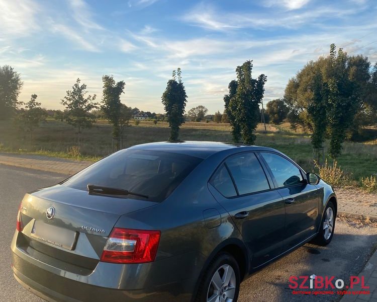 2018' Skoda Octavia photo #5