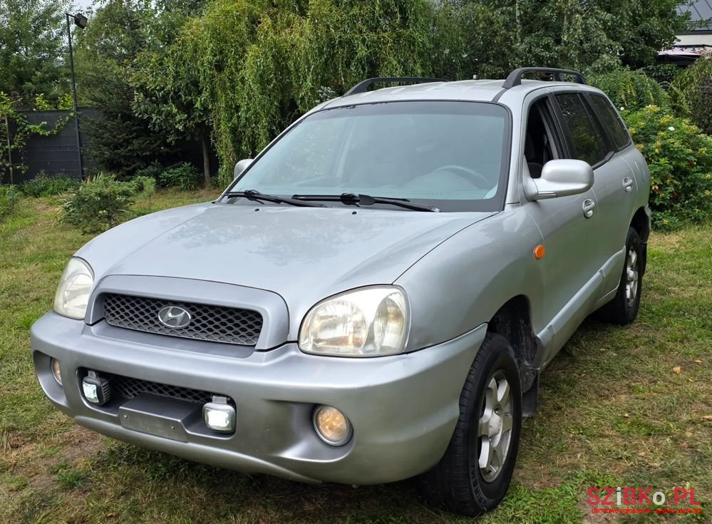 2003' Hyundai Santa Fe photo #2