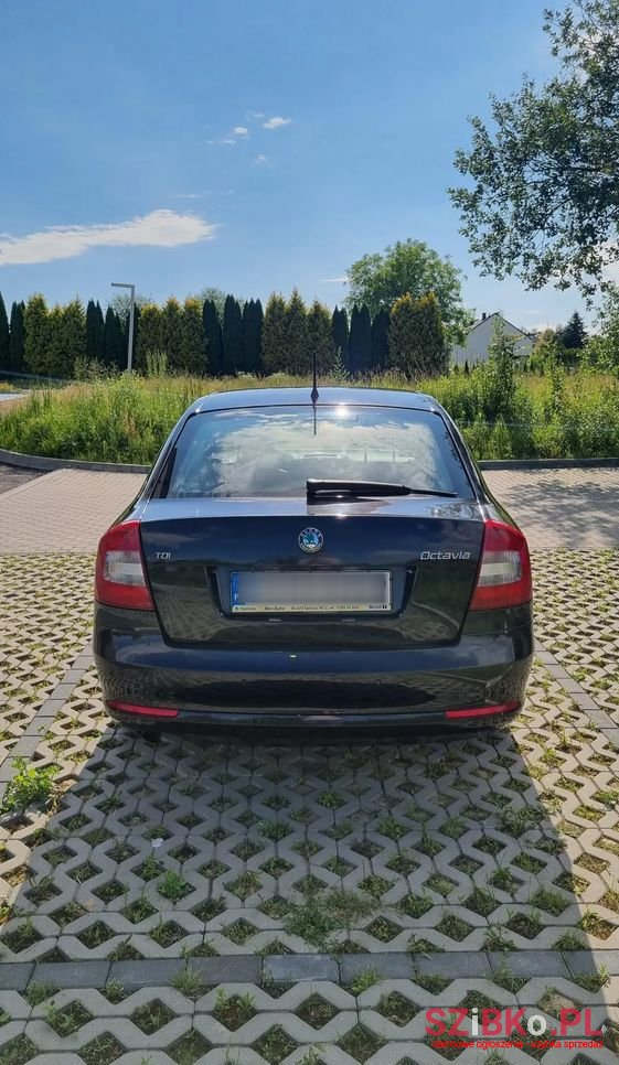 2010' Skoda Octavia photo #4